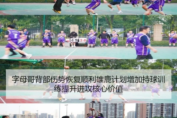 字母哥背部伤势恢复顺利雄鹿计划增加持球训练提升进攻核心价值